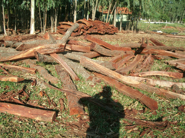 O dono do lote afirmou que a madeira pertencia a um assentado do Assentamento PAM, no mesmo município (Foto: Divulgação/PMA MS)