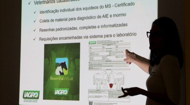 Em janeiro tem nova turma para treinamentos da “Resenha Virtual de Equídeos”, na Iagro A “Resenha Virtual de Equídeos” é uma ferramenta inédita criada para desburocratizar os sistemas, identificar individualmente os animais do Estado. (Foto: Divulgação)
