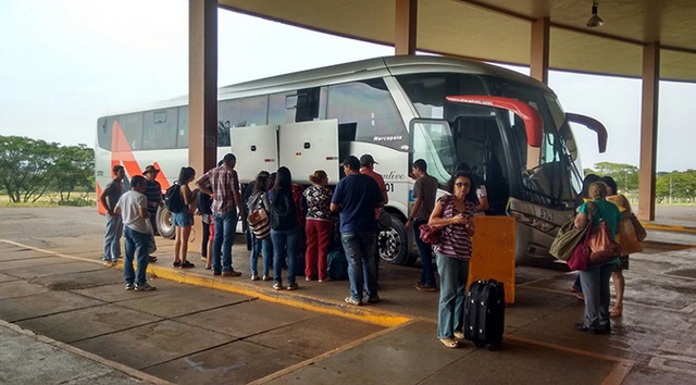 Agepan esclarece passageiros sobre transporte de animais nos ônibus intermunicipais O transporte dever ser feito em caixa apropriada e sem causar desconforto aos demais passageiros. (Foto:Divulgação)