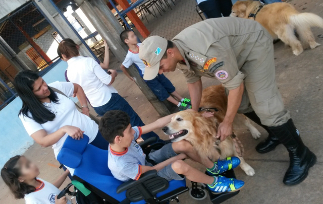 A terapia assistida por animais vem ganhando interesse e investimentos da comunidade científica em função dos resultados alcançados através da interação homem-animal (Foto: Divulgação/Bombeiros)