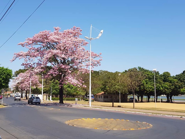 Temperaturas voltam a subir em Três Lagoas nesta quinta-feira Circular da Lagoa Maior (Foto/Ricardo Ojeda)