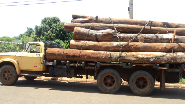 PMA aplica multas de R$ 1,8 mi em pouco mais de um mês contra a flora em MS Apreensão de madeira feita pela PMA durante mês de setembro (foto:assessoria)