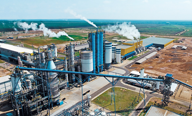 
Líder mundial na produção de celulose de eucalipto, a Fibria possui capacidade produtiva de 5,3 milhões de toneladas anuais de celulose (Foto: Assessoria Fibria)