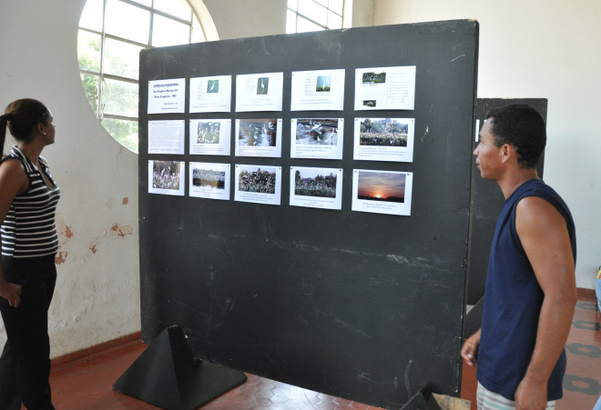 Exposição sobre as garças da Lagoa Maior é gratuita para a população visitar no saguão da antiga prefeitura (Foto: Assessoria de Comunicação)