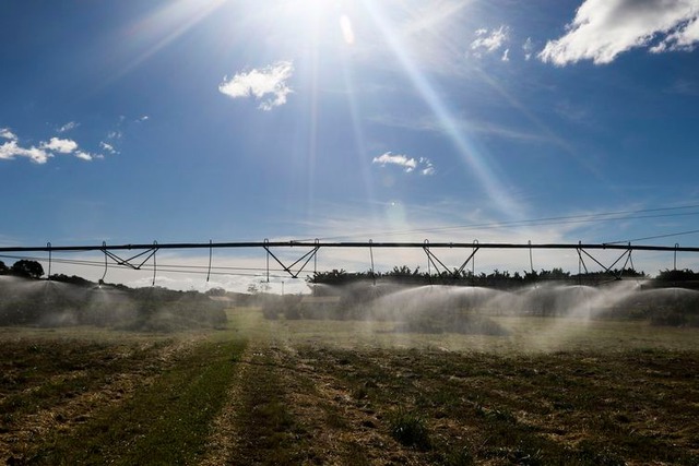 Novas tecnologias digitais auxiliam produção no campo Plantação de Café na Embrapa Cerrado - Valter Campanato/Agência Brasil
