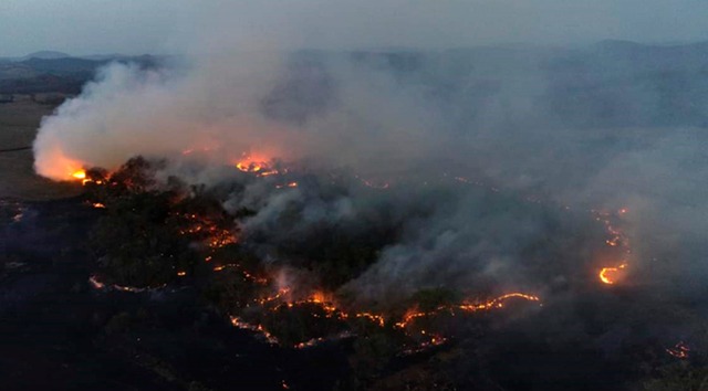 Sem chuva, queimadas se intensificam e Ibama estima 1 milhão de hectares em cinzas Fogo na margem da MS-178 reduziu a visibilidade de quem trafegava entre Bonito e Bodoquena. (Divulgação)