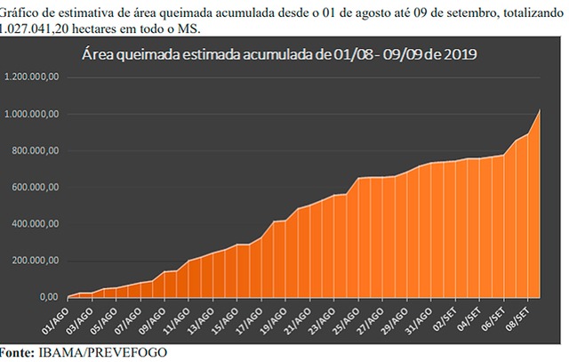 Sem chuva, queimadas se intensificam e Ibama estima 1 milhão de hectares em cinzas Reprodução