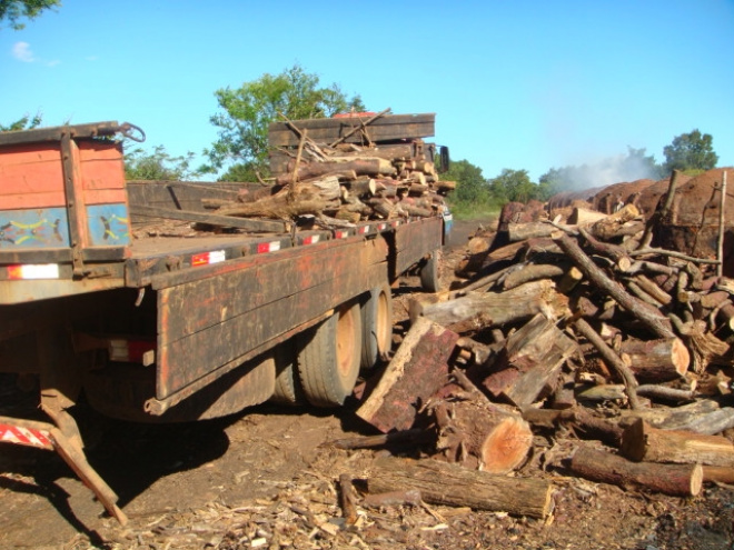 O caminhão apreendido estava sendo carregado de madeira durante a fiscalização
Foto: PMA