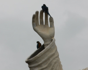 Duas araras escolheram a manga da estátua do Cristo para construir o ninho e criar a familiar  