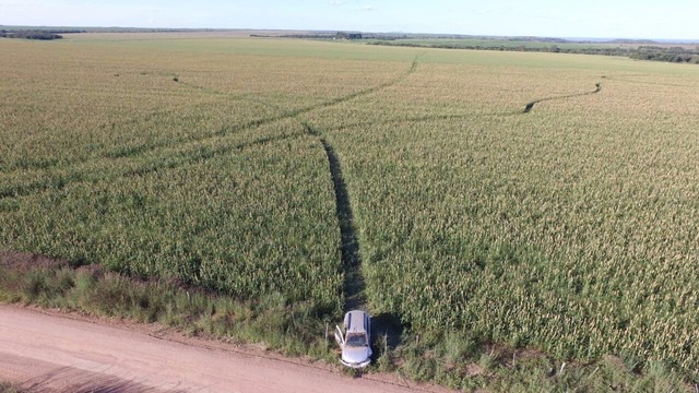 'Nenhum vestígio', diz delegada sobre agrônomo que sumiu depois de deixar sinais em lavoura em MT Carro foi encontrado abandonado (Foto: Divino José/Arquivo pessoal)