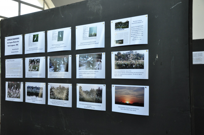 Exposições culturais encerram nesta sexta-feira As fotos levam abaixo algumas explicações, sobre as características das garças (Foto: Divulgação/Assecom)
