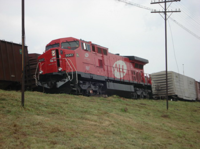 Trem da empresa ALL (América Latina Logística) (Foto:Reprodução)