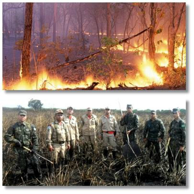 Bombeiros e IBAMA treinam Brigada de Prevenção e Combate a Incêndio Florestais do Exército Brasileiro As instruções foram ministradas pelo analista ambiental Alexandre Pereira, coordenador estadual do PREVFOGO (Foto: Divulgação/Bombeiros MS)