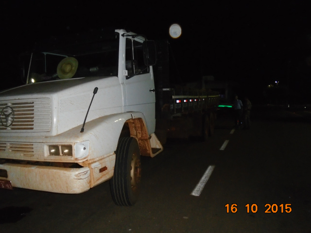 PMA autua em R$ 3 mil madeireira proprietária de caminhão com carga de madeira protegida