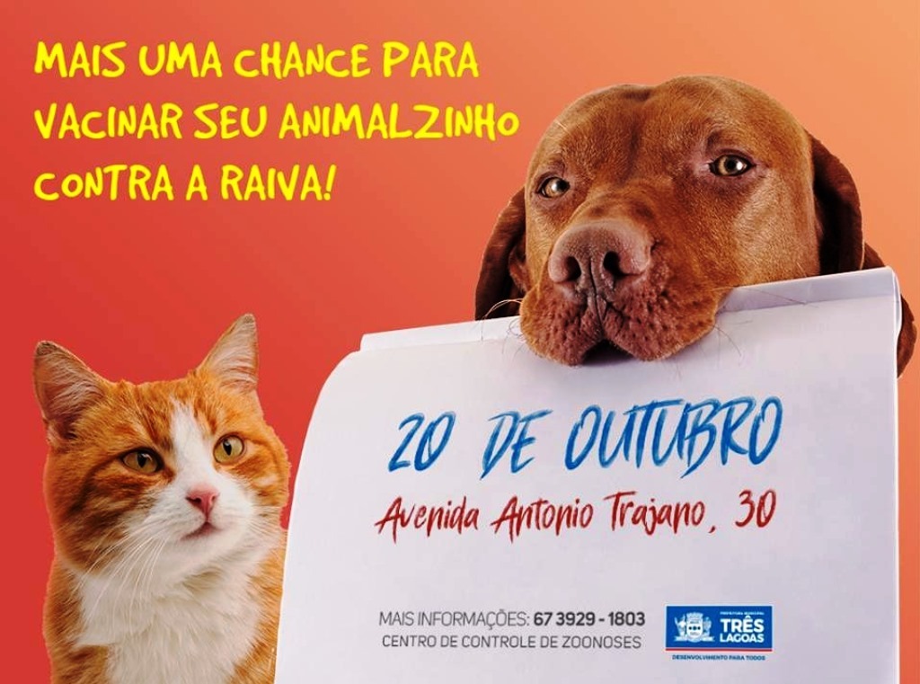 Donos de cães e gatos têm neste sábado nova oportunidade de vacinar animais de estimação Donos de cães e gatos têm neste sábado nova oportunidade de vacinar animais de estimação