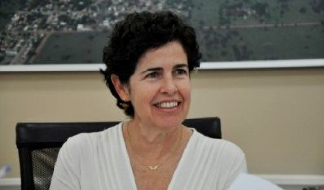 Ocupação dos lotes do Cinturão Verde é determinada por lei Prefeitura informa que o ocupante não pode vender, repassar, emprestar, ou locar o lote para outra pessoa, somente a Prefeitura decide a destinação do mesmo (Foto: Arquivo Perfil News)
