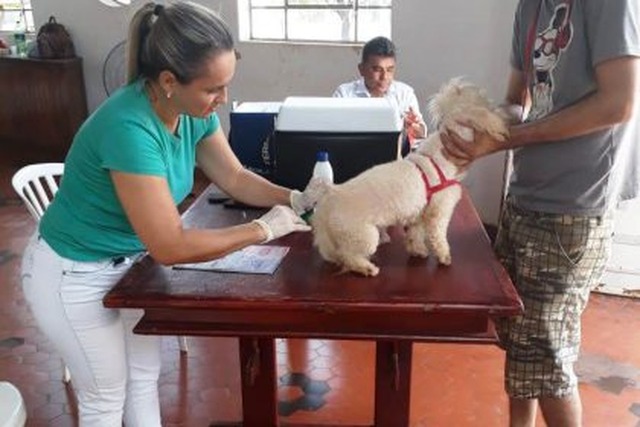Saúde deu nova oportunidade aos donos de cães e gatos de vacinarem seus animaizinhos contra a raiva (Foto/Assessoria)