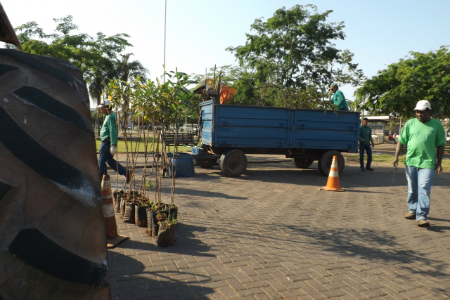 Enquanto funcionários de serviços gerais colocam as árvores de resedá arrancadas na carreta, mudas de quaresmeiras ficam ao lado para depois serem plantadas (Foto: Léo Lima)