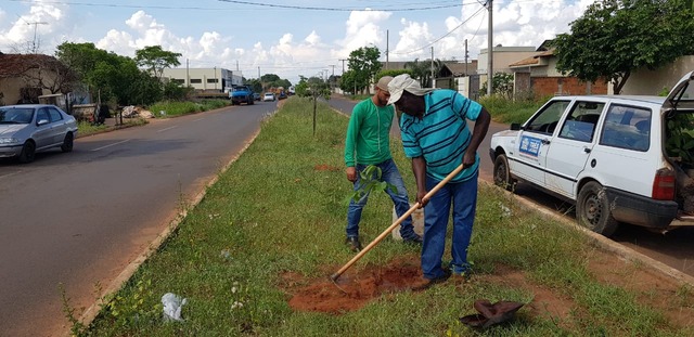 Projeto “Áreas Mais Verdes” contempla Parque dos Ipês com aproximadamente 150 novas árvores Foto: Assessoria