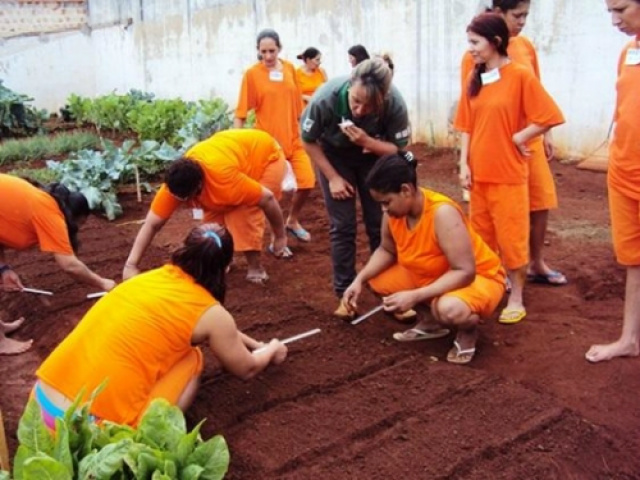 Internos de presídios de MS tem uniformes padronizados na cor laranja Internas do presídio feminino de Rio Brilhante recebem conhecimento sobre tratamento de hortas (Foto: Divulgação)