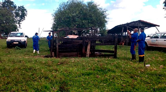 Iagro alerta para confirmação de novos casos de raiva no Estado Fotos: Arquivo. Portal do MS