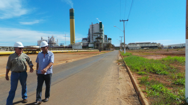 A Eldorado Brasil já contratou mais de 300 trabalhadores que estão atuando na terraplanagem da segunda linha de produção da fábrica que vai dobrar a capacidade e gerar mais de 10 mil empregos diretos durante a construção (Foto: Patrícia Miranda)