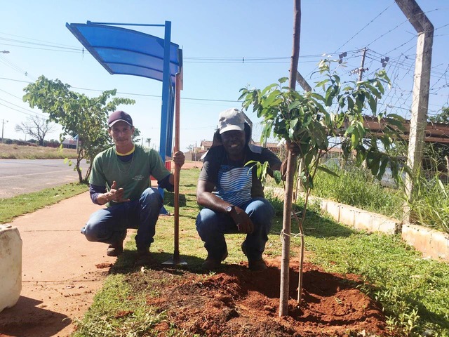Meio Ambiente inicia ação de arborização em pontos de ônibus em Três Lagoas Funcionários plantam árvores ao lado do ponto de ônibus no Orestinho. Foto: Divulgação