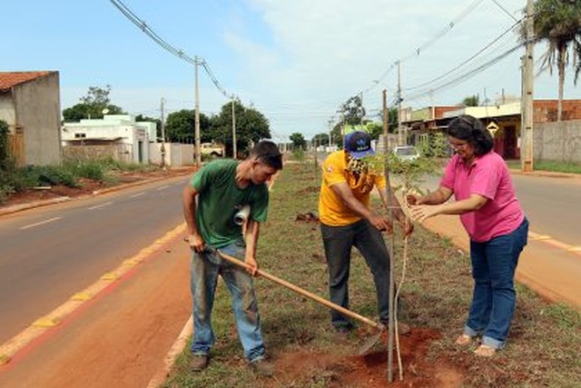 Avenida Milton Damasceno recebe plantio de árvores pelo Projeto “Áreas Mais Verdes”