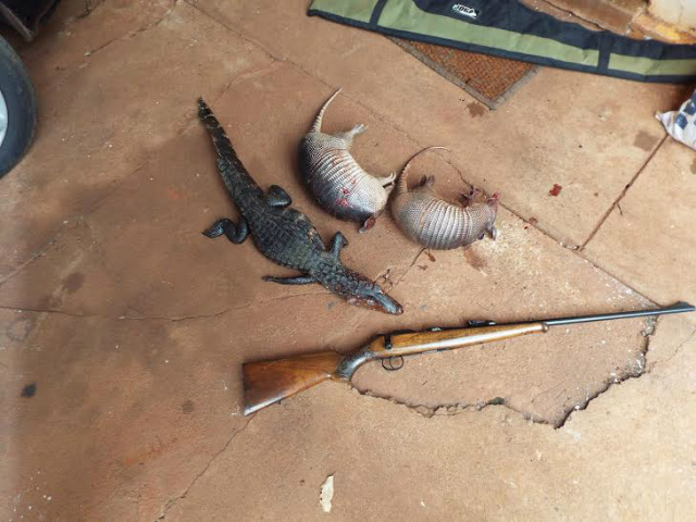 Os animais abatidos e a arma usada na caça pela dupla que mora em Selvíria (Foto: Divulgação/PMA)
