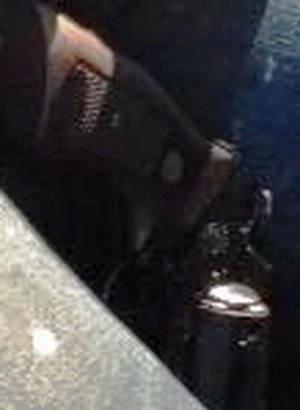 Revólver encontrado com engenheiro tinha quatro balas deflagradas Revólver que foi utilizado no crime foi encontrado entre as pernas do engenheiro (Foto: Reprodução)