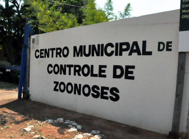 CCZ de Três Lagoas estuda implantar várias ações no próximo ano (CCZ) está planejando diversas ações para o próximo ano (Foto:Assessoria)