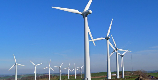 Investimentos na matriz eólica contribuem para a geração de energia limpa (Foto: Divulgação) 