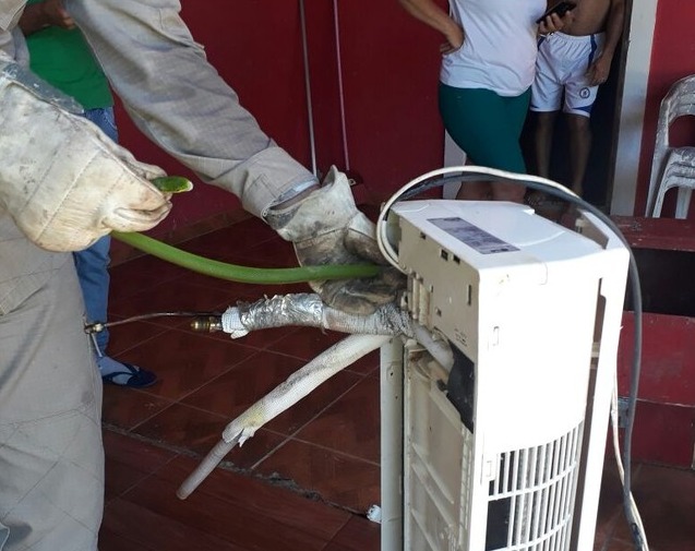 Cobra é resgatada por bombeiros dentro de ar condicionado em MS Cobra é retirada do ar condicionado (Foto: Corpo de Bombeiros/ Divulgação)