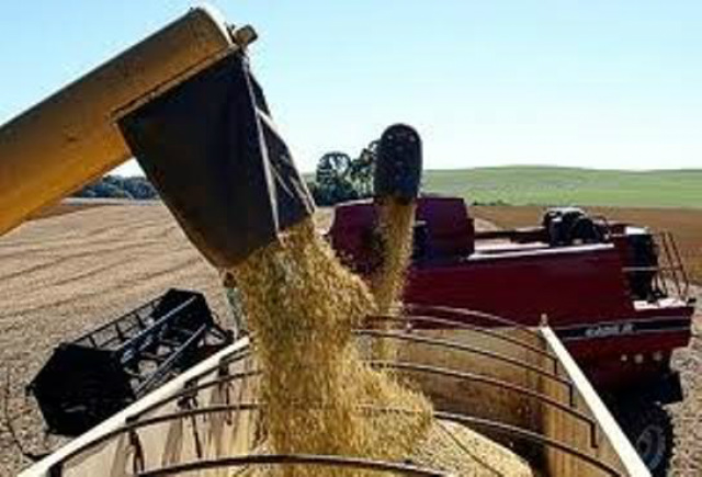 O campo respondeu positivamente:  a Agropecuária teve variação de 0,2% (Foto: Google)