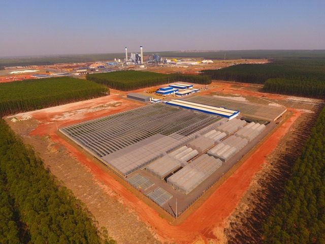 Fibria aprimora sua operação florestal com tecnologia a bordo das máquinas de colheita Apontamento eletrônico e utilização de mapas embarcados garantem confiabilidade, segurança e aumento da produtividade (Foto/Assessoria)