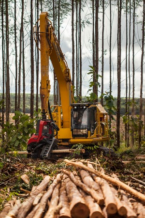 Fibria aprimora sua operação florestal com tecnologia a bordo das máquinas de colheita Fibria aprimora sua operação florestal com tecnologia a bordo das máquinas de colheita