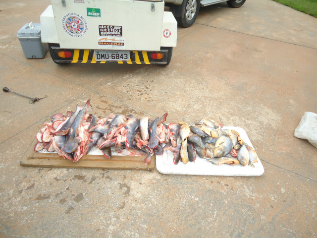 Homem é preso por pesca predatória e multado em R$ 1,5 mil Turista, de 57 anos, residente em Sorocaba interior de São Paulo (Foto:Assessoria)