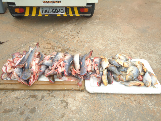 Homem é preso por pesca predatória e multado em R$ 1,5 mil Homem é preso por pesca predatória e multado em R$ 1,5 mil