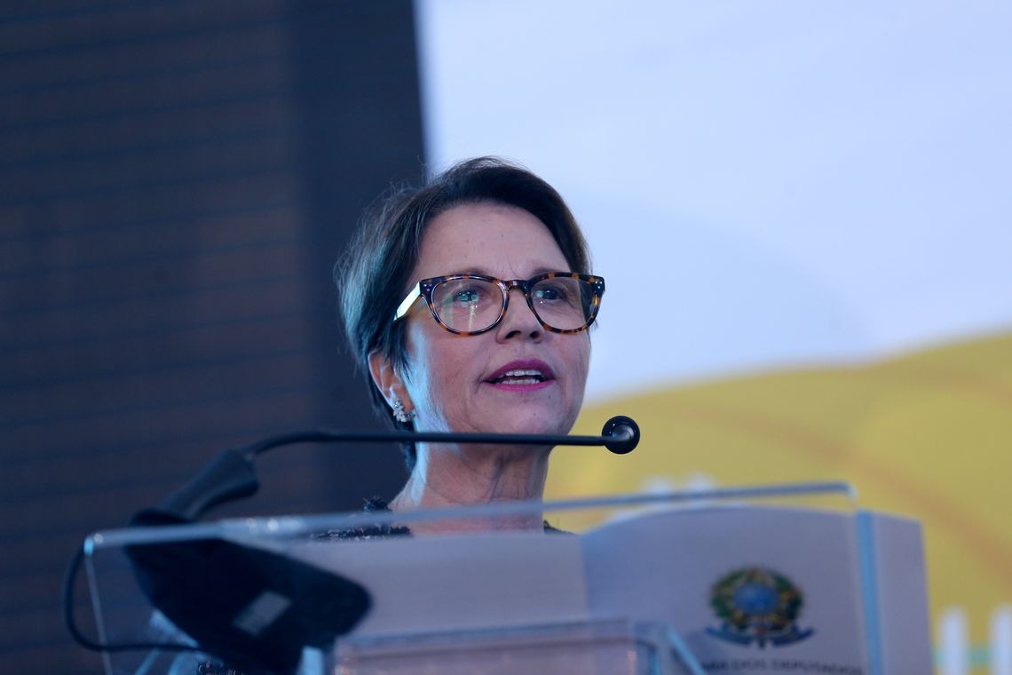 Tereza Cristina é confirmada para o Ministério da Agricultura Deputada Tereza Cristina, a nova Ministra da Agricultura. Foto: Wilson Dias/Agência Brasil/Agência Brasil