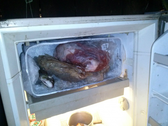 Na residência do idoso que assumiu ter caçado o animal abatido encontrado, os policiais encontraram 4,5 kg de carne de capivara (Foto: Divulgação/PMA)