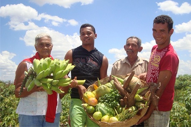A agricultura familiar de MS é produtora de 113 itens que constam na lista de alimentos - Foto: Divulgação