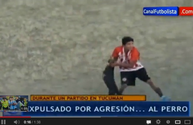 Jogador Argentino pega cachorro pelo pescoço a atira contra a torcida adversária (Foto: Reprodução)