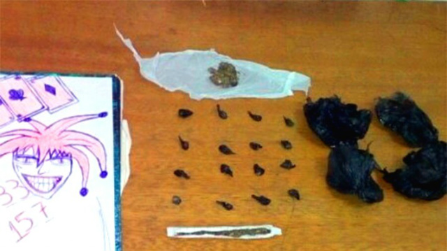 Drogas foram encontradas prontas para serem comercializadas. (Foto: Jornal Tribuna Livre)