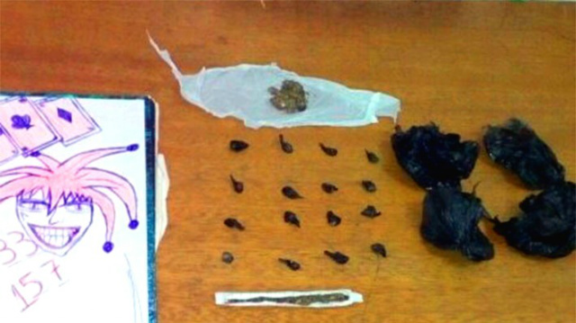 Adolescentes são apreendidos com drogas prontas para comercialização Drogas foram encontradas prontas para serem comercializadas. (Foto: Jornal Tribuna Livre)