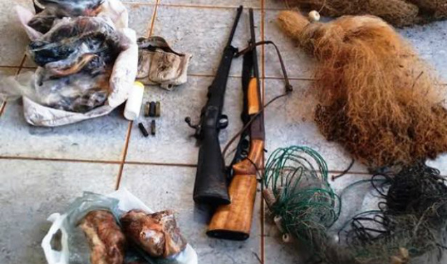 O pescado, as armas, redes de pesca e carne de anta apreendidos pela PMA (Foto: Divulgação)