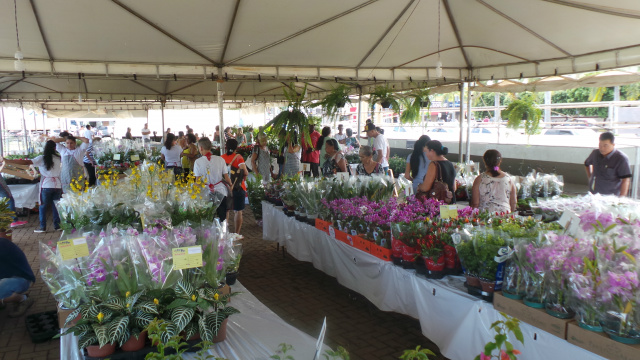 Após cinco anos sem o evento, a Expoflor volta  a ser realizada em Três Lagoas e o público prestigia maciçamente (Foto: Ricardo Ojeda) 