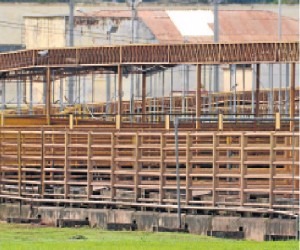 Pecuaristas têm dificuldades com promissórias da JBS Denúncias geram incertezas quanto escala de abates (Foto: Correio do Estado)