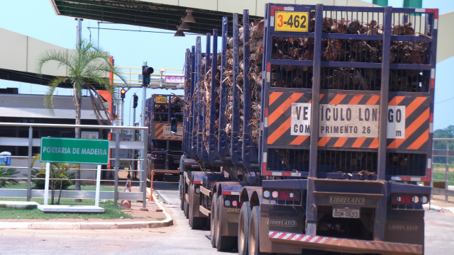 Rejeitando crise, Eldorado preza por bem-estar de funcionários ao investir quase R$ 2 mi em primarização Carreta aguarda na portaria de madeira para conferir a carga e, em seguida, será descarregada (Foto: Ricardo Ojeda)