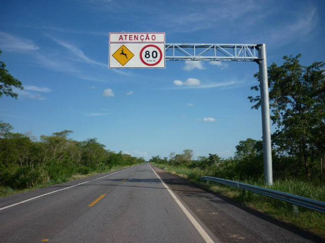 Projeto que cria pontos de travessia para animais em rodovias é vetado Placa alerta sobre travessia de animais em MS (Foto: Ronaldo Balla/TV Morena)