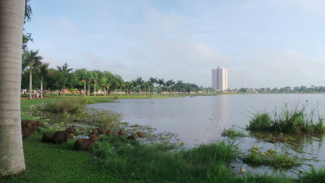 Imagem registrada na manhã de hoje (9), na orla da Lagoa Maior, pelo repórter Ricardo Ojeda. 